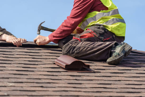 Best Roof Repair Services  in Hrison, AR