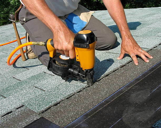 Best Roof Gutter Cleaning  in Hrison, AR