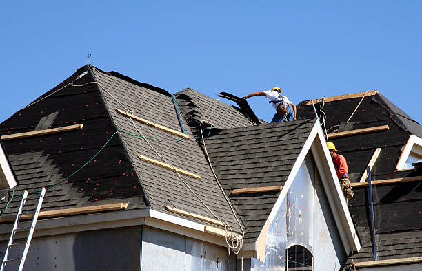 Best Roof Waterproofing Services  in Hrison, AR